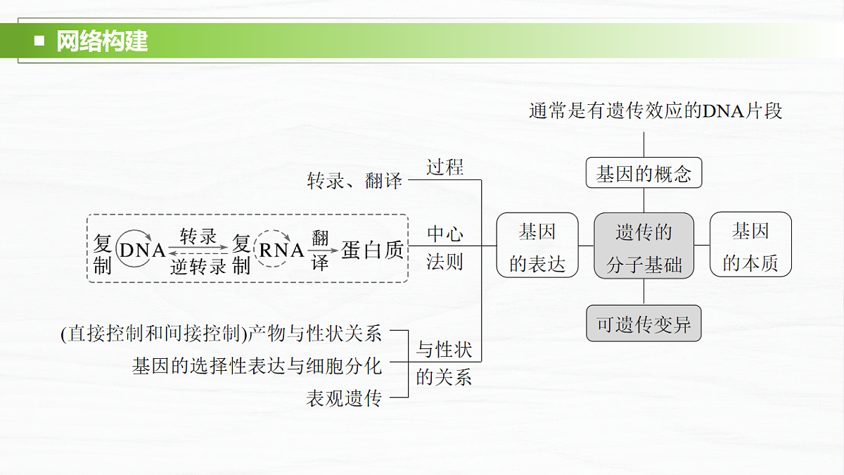 17926309第2页