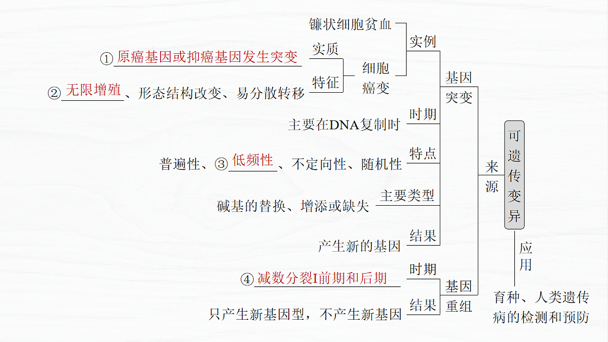 17926309第3页