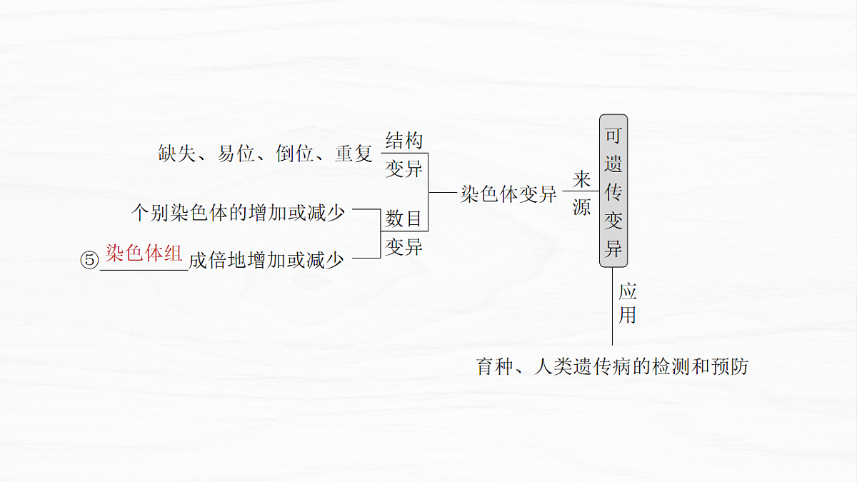 17926309第4页