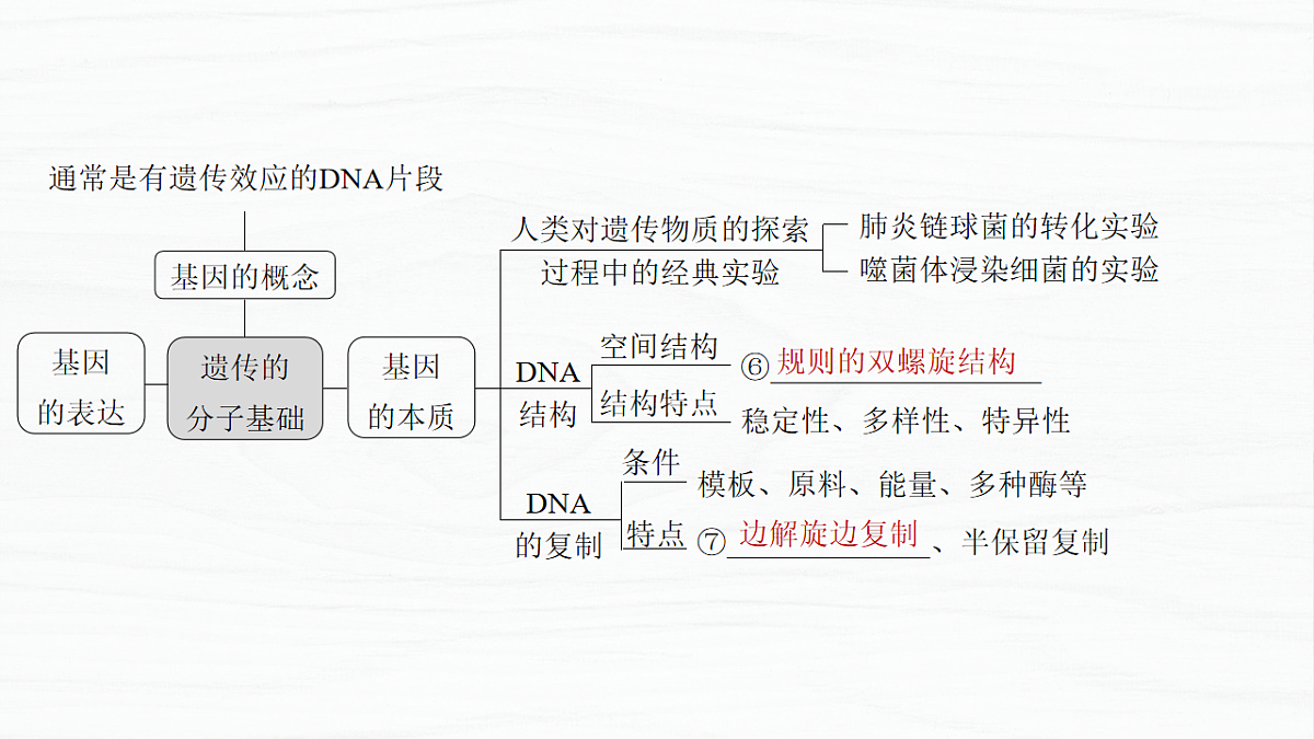 17926309第5页