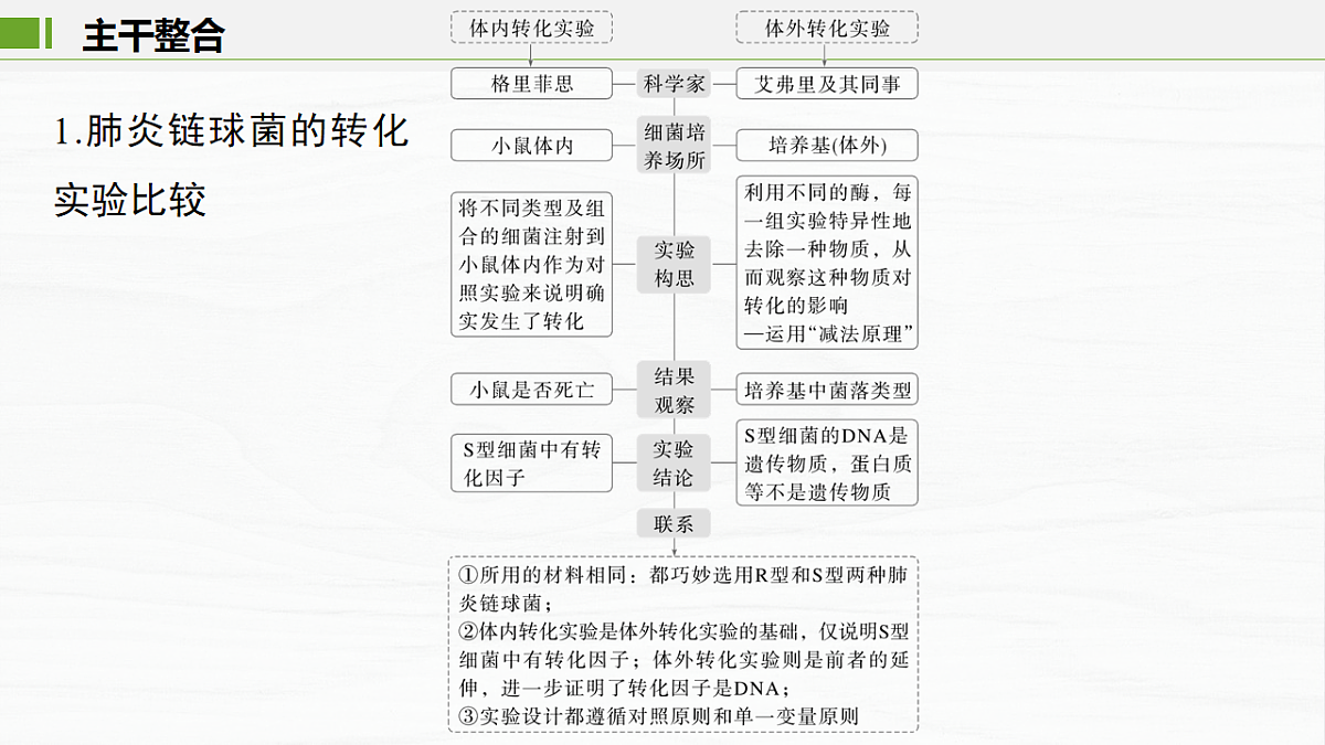 17926309第8页