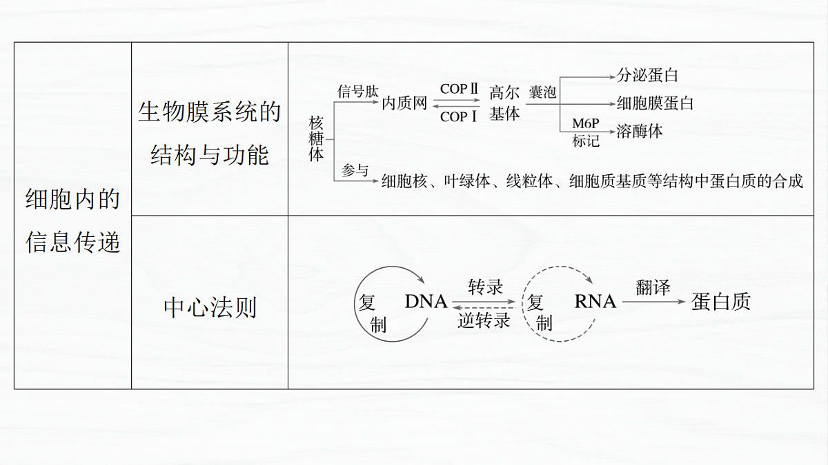 17926311第3页