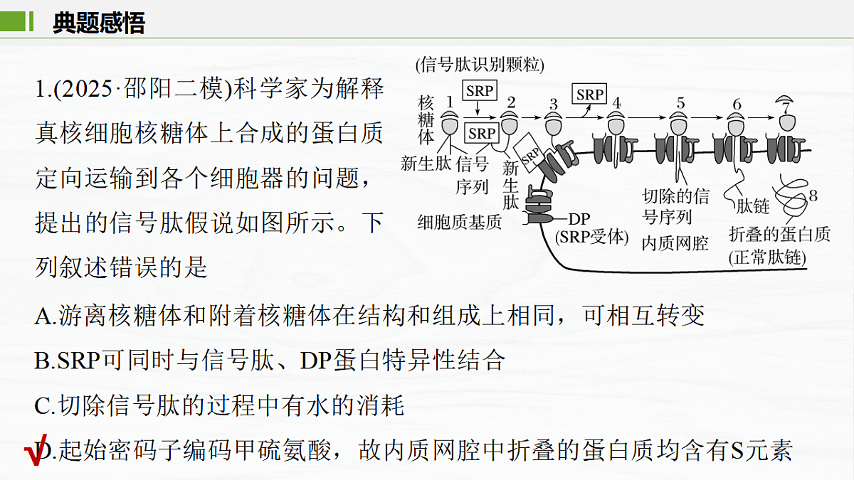 17926311第5页