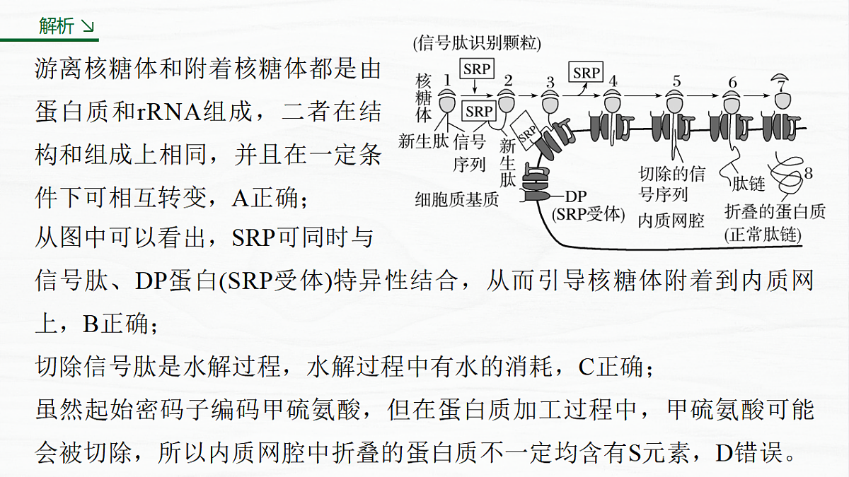 17926311第6页