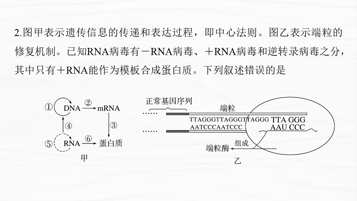 17926311第7页