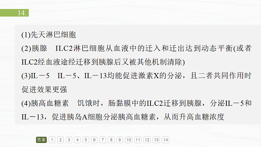 17926313第4页