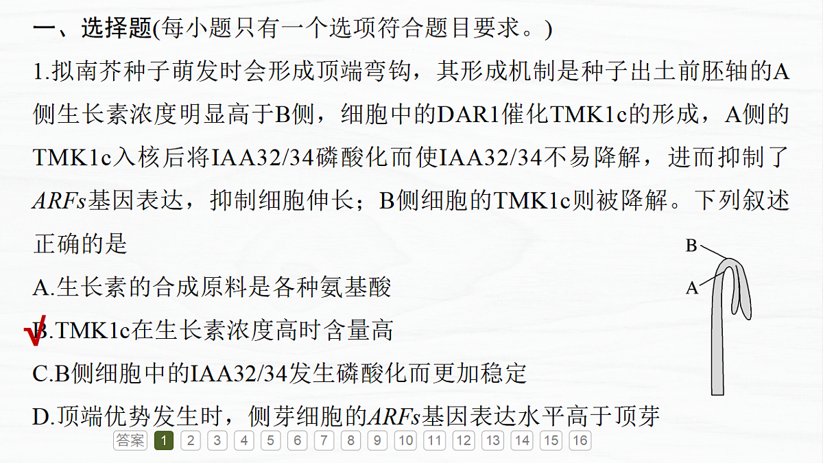 17926315第4页