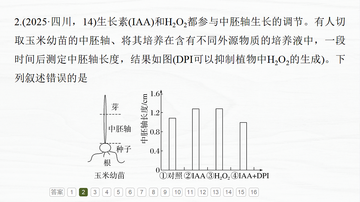 17926315第6页