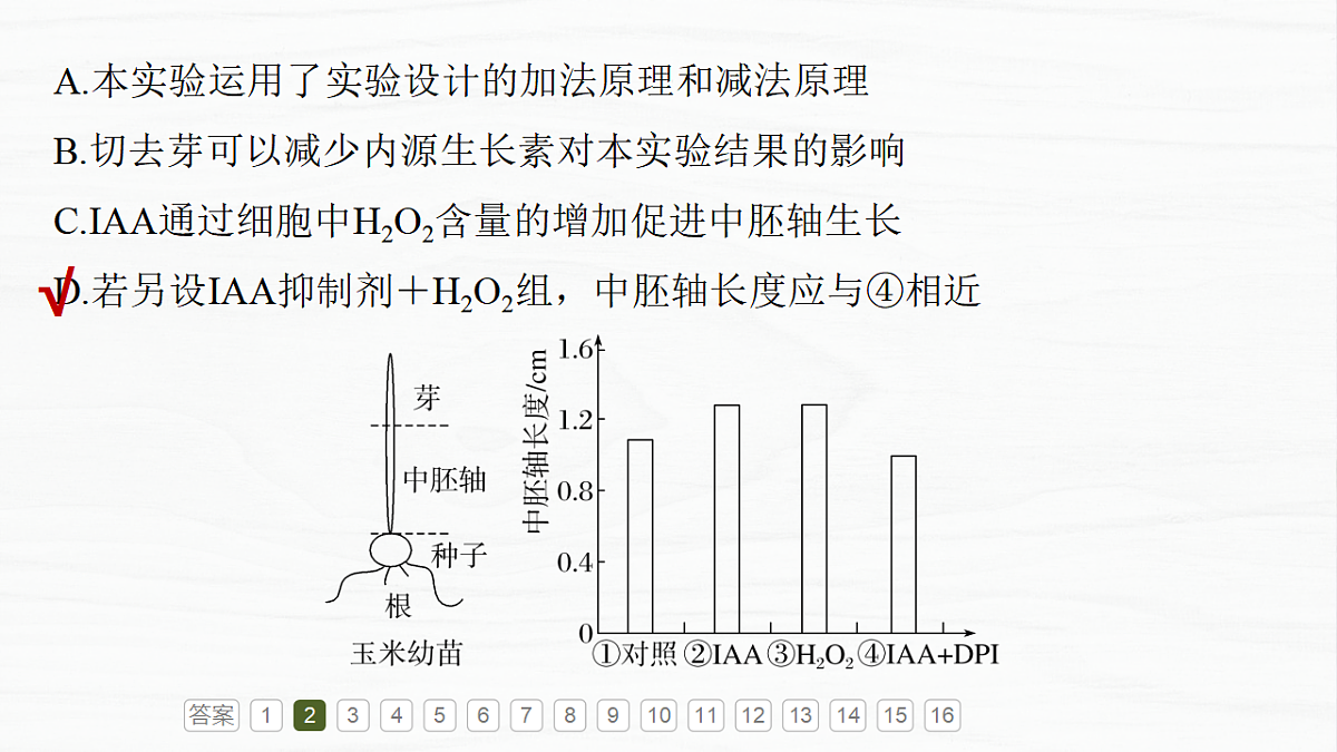 17926315第7页