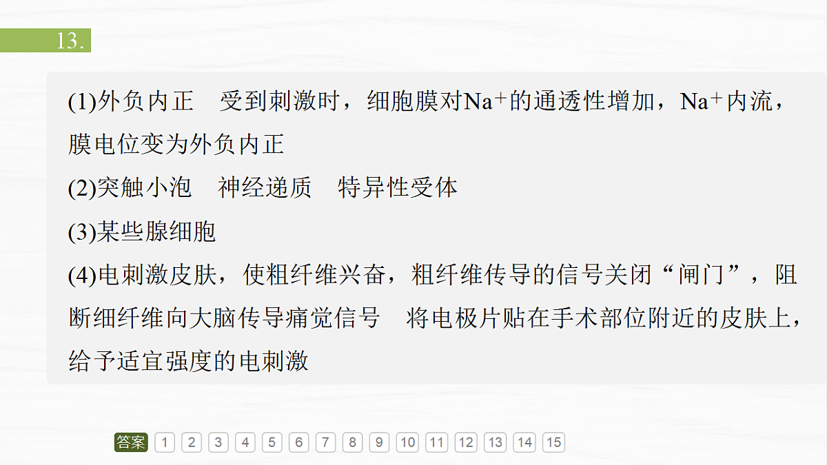 17926316第3页