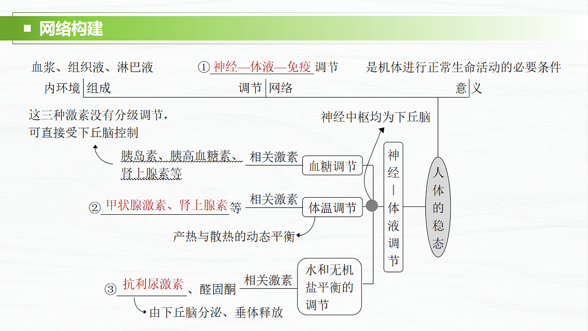17926317第2页