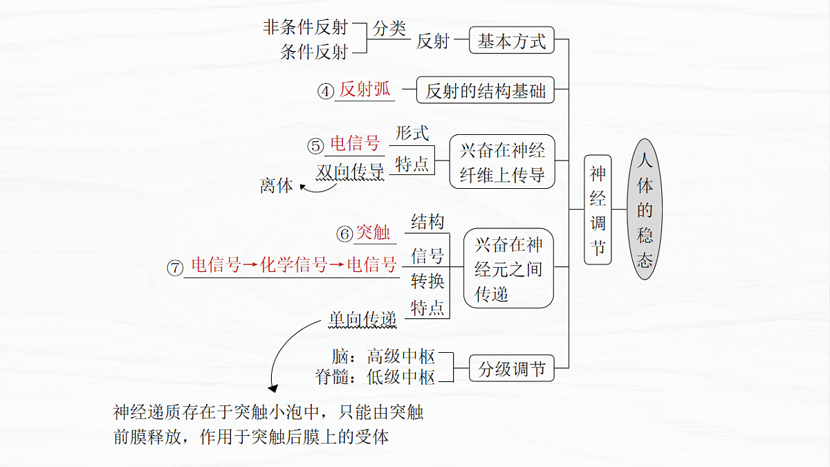 17926317第3页