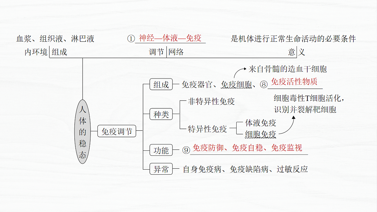 17926317第4页