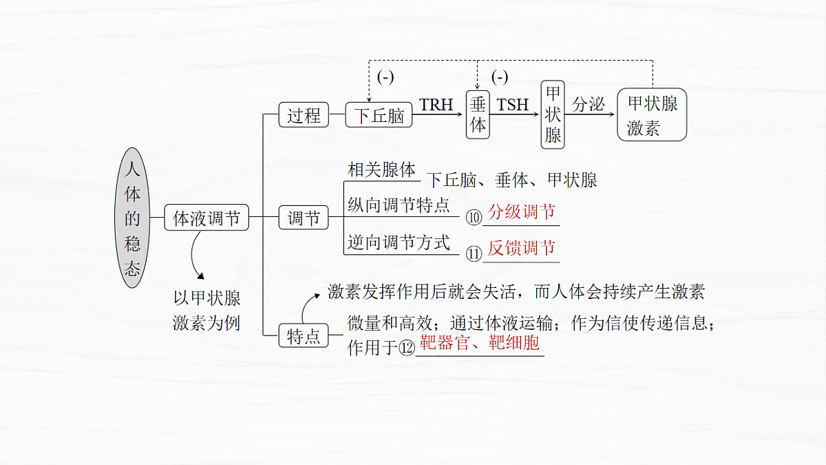 17926317第5页