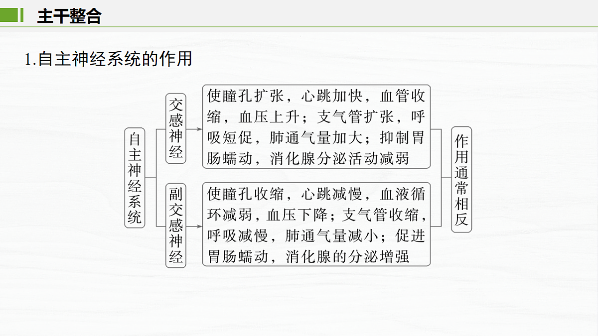 17926317第8页