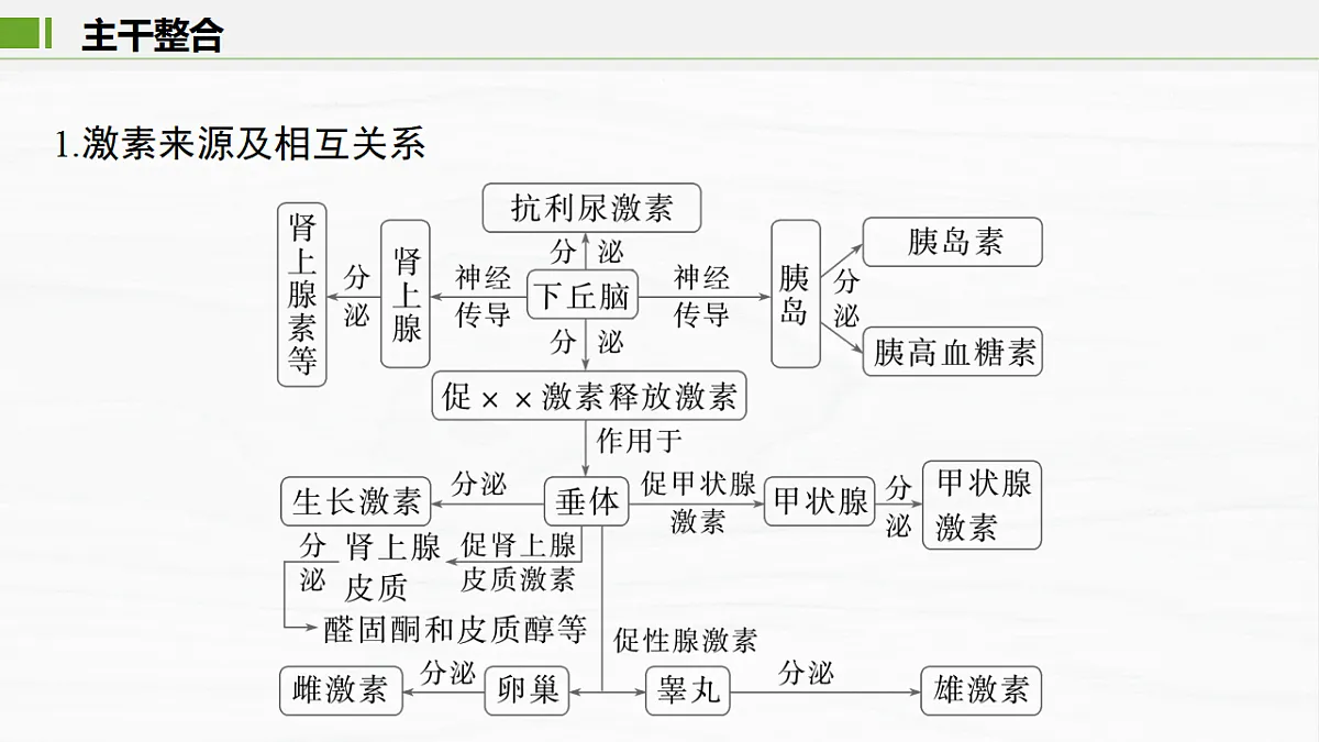 17926318第3页