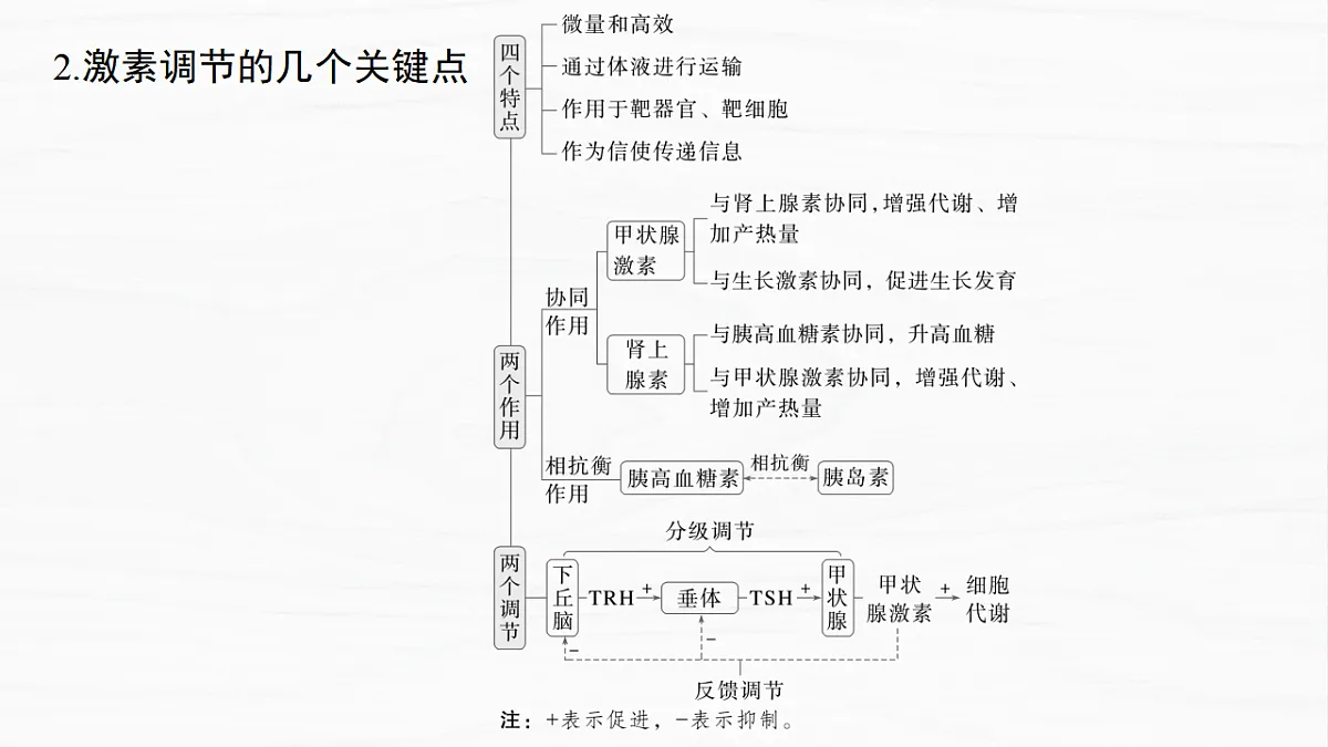 17926318第4页
