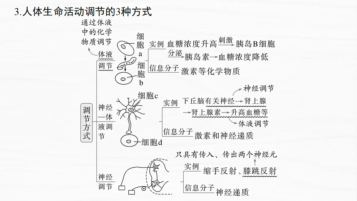 17926318第6页