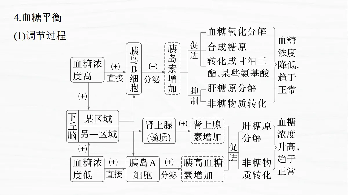 17926318第7页