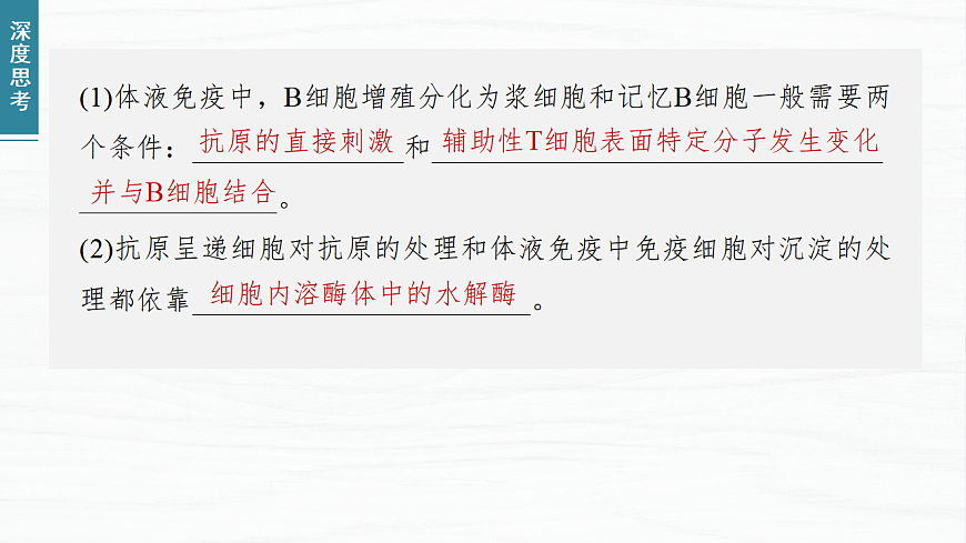 17926319第6页
