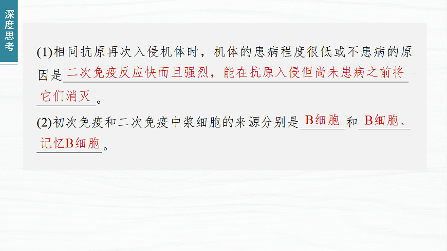 17926319第8页