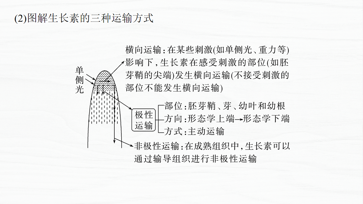 17926320第4页