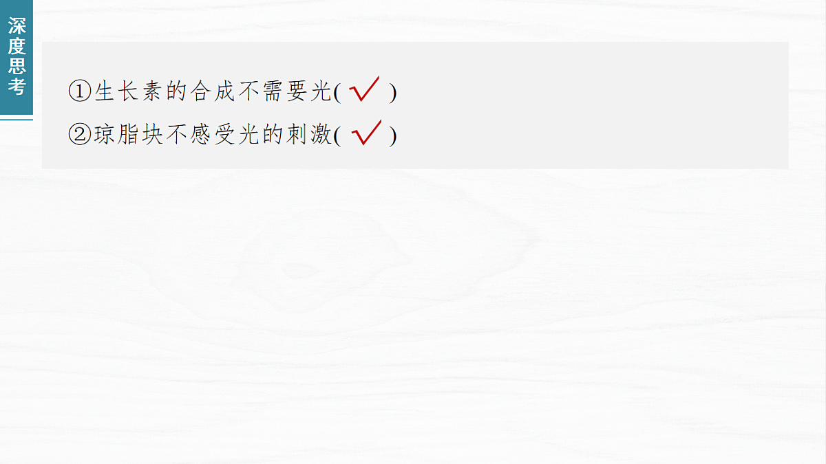 17926320第5页