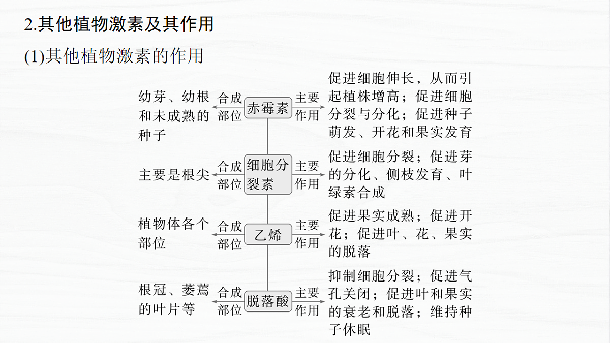 17926320第8页