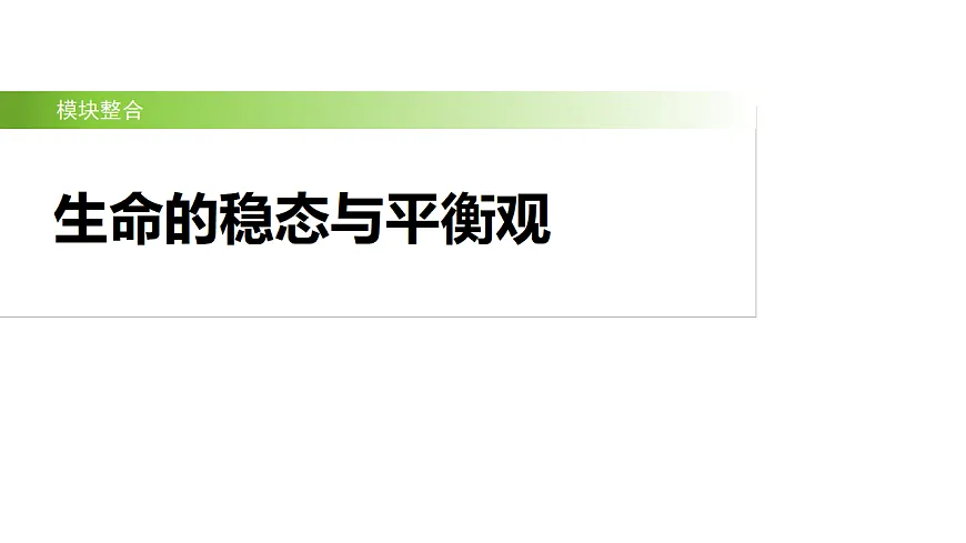17926321第2页