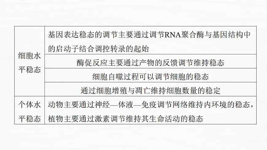17926321第3页