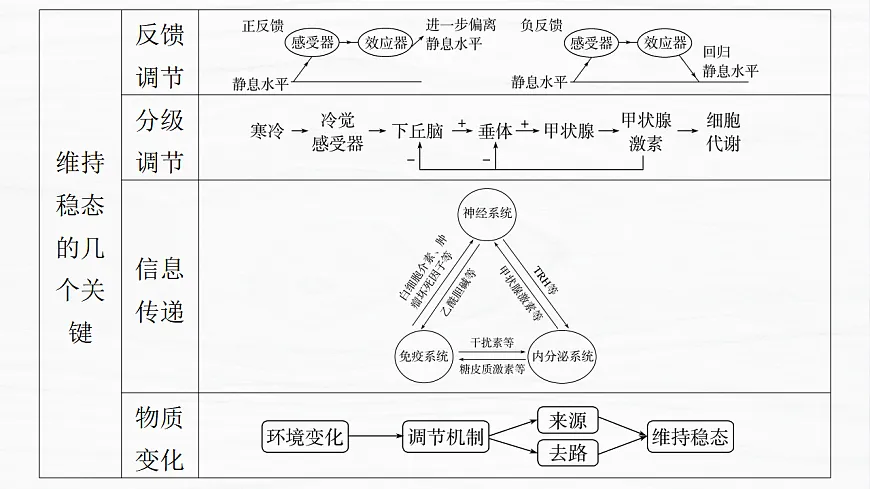 17926321第5页