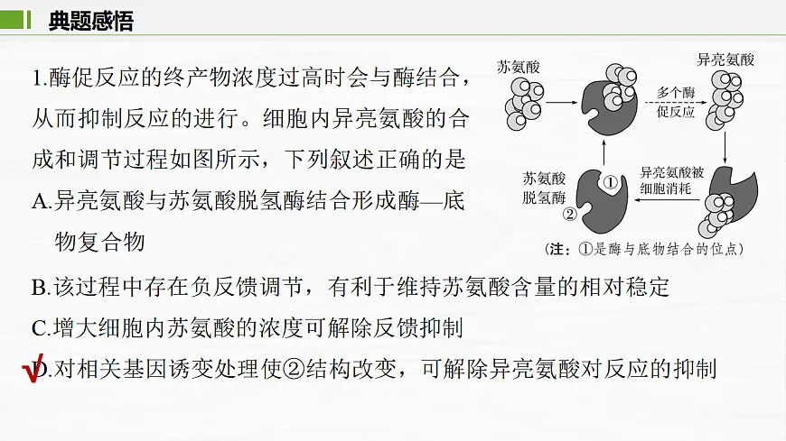 17926321第6页
