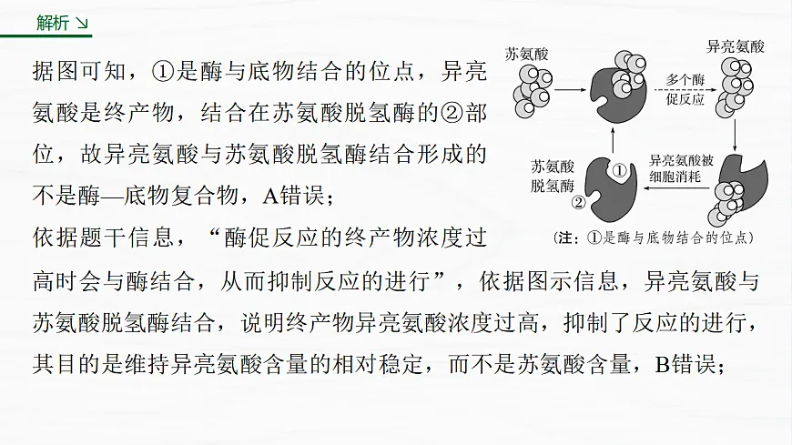 17926321第7页