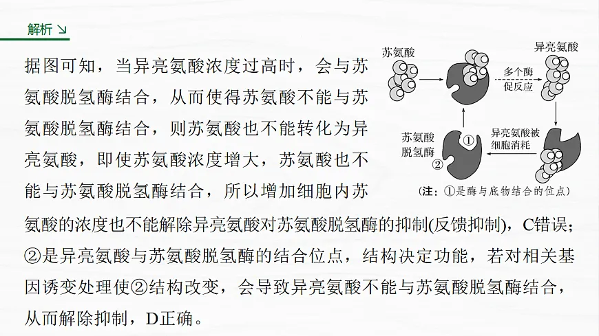 17926321第8页