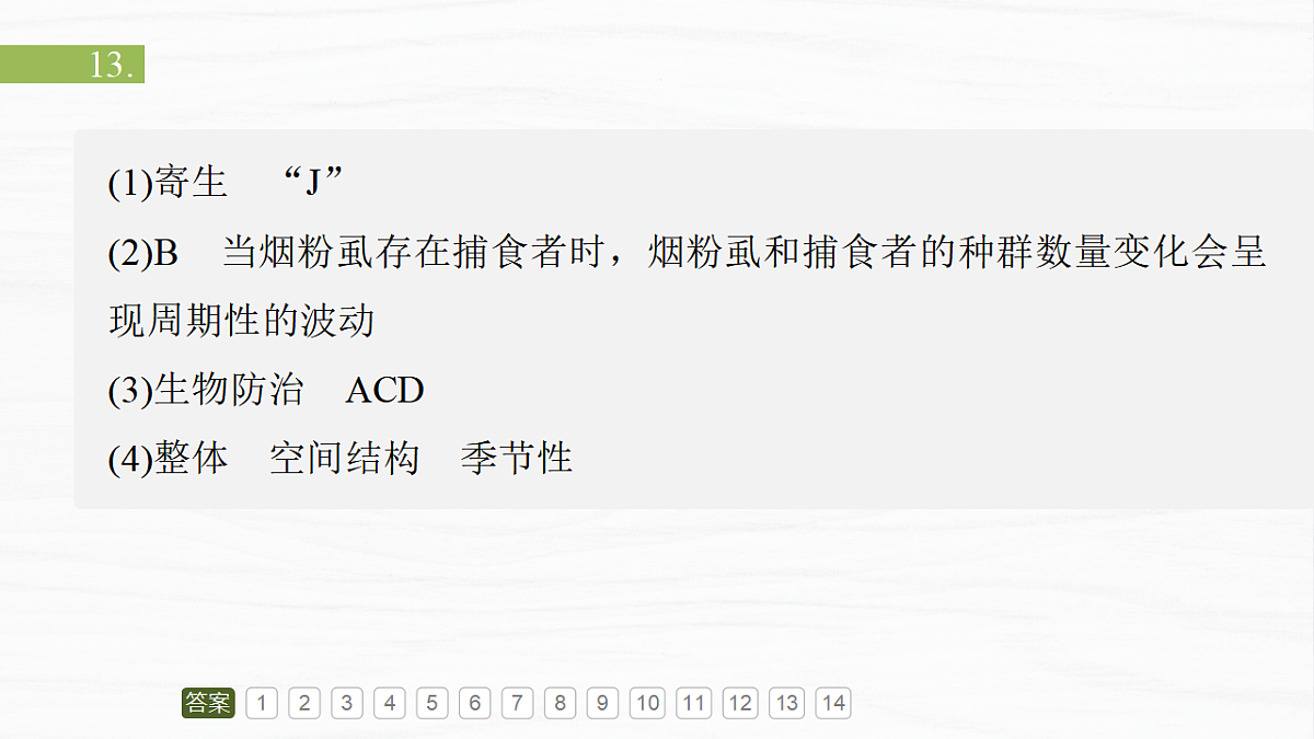 17926323第3页