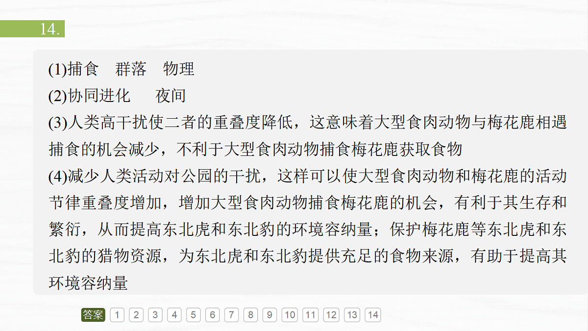 17926323第4页
