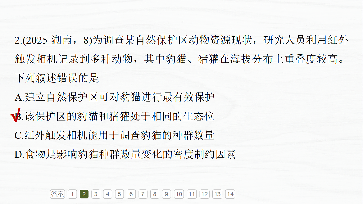 17926323第7页
