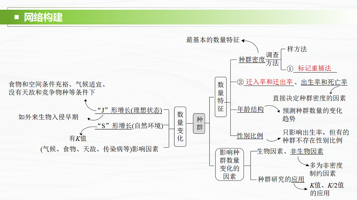 17926324第2页