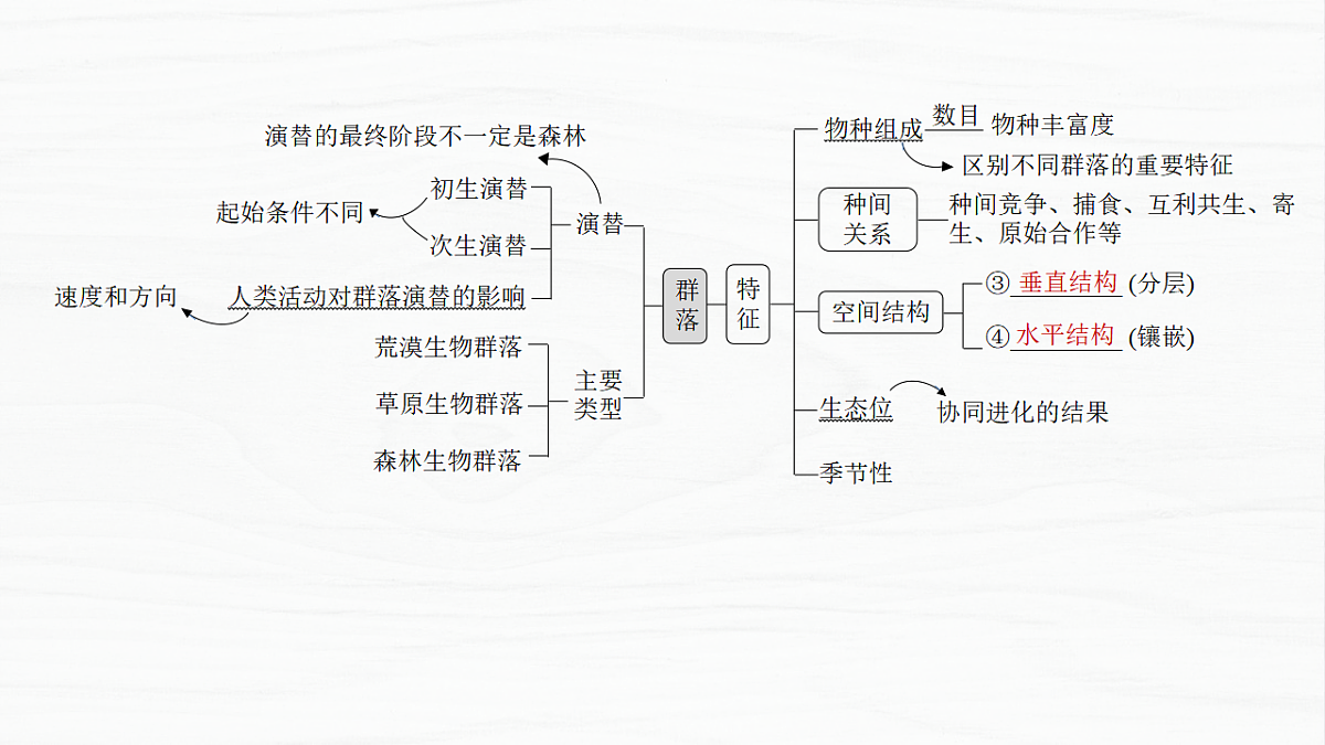 17926324第3页