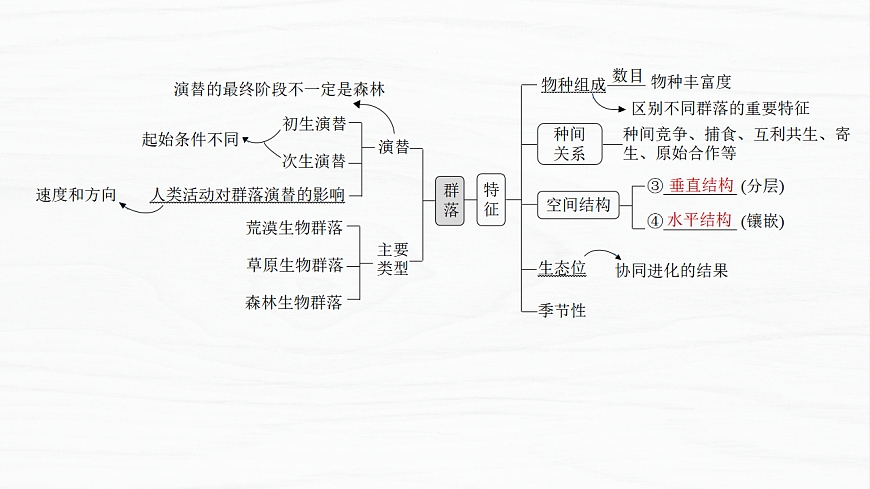 17926324第3页