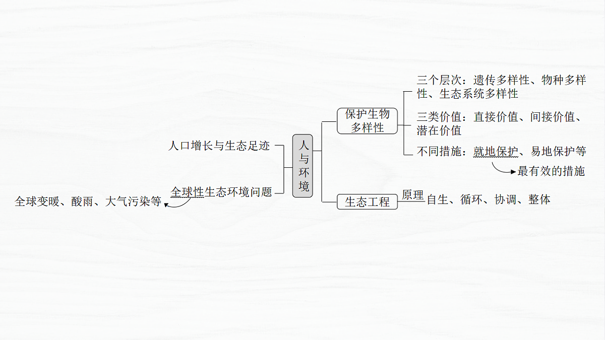 17926324第5页