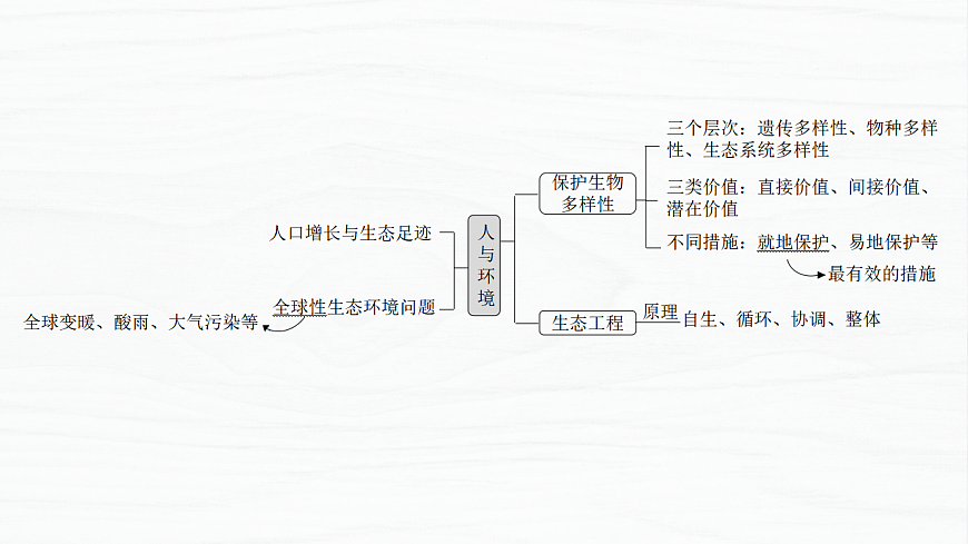 17926324第5页