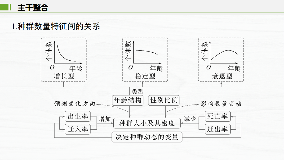 17926324第7页