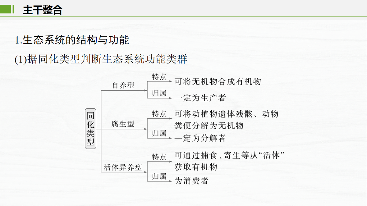 17926325第3页