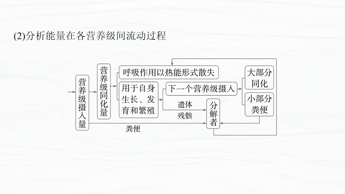 17926325第5页
