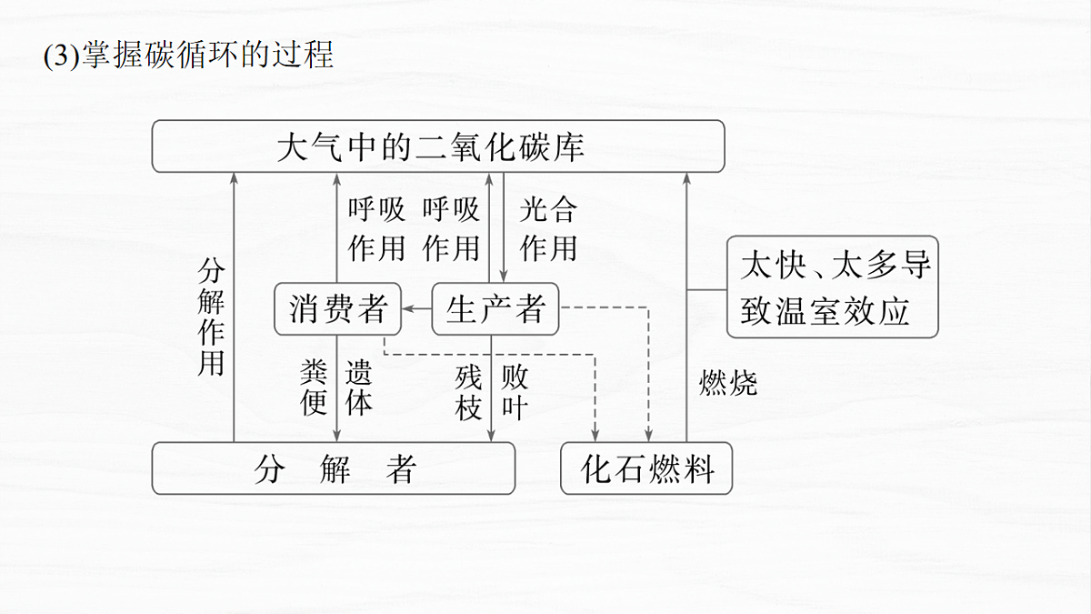 17926325第7页