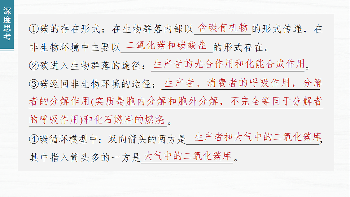 17926325第8页
