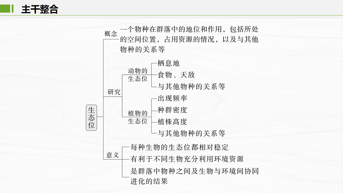 17926326第3页