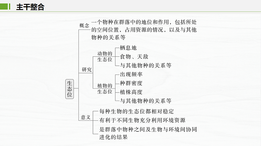 17926326第3页