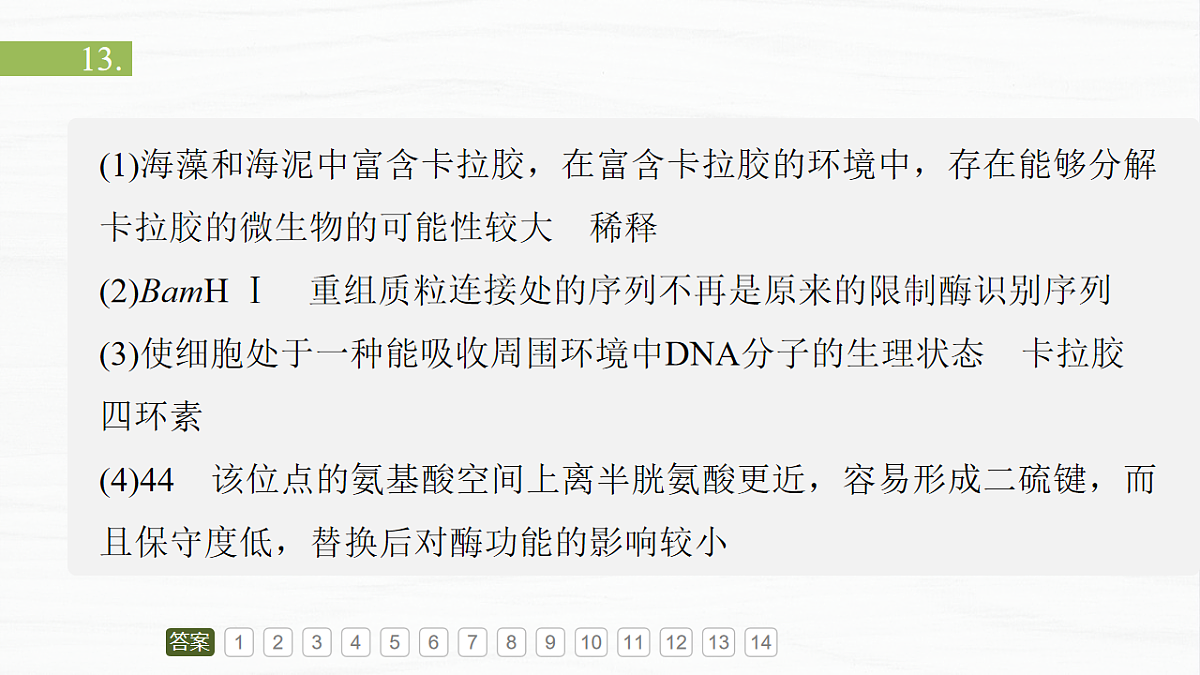 17926329第3页